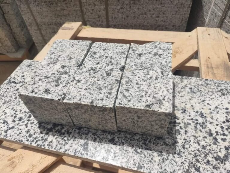 WhatsApp Image 2024-08-26 at 4.16.27 PM (1)