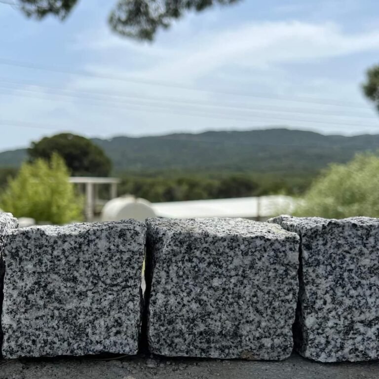 WhatsApp Image 2024-12-07 at 3.27.30 PM (5)